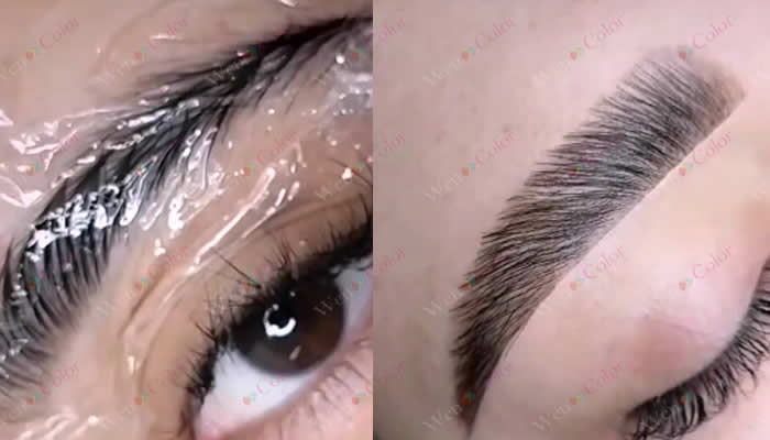 Laminado de Cejas Wencolor